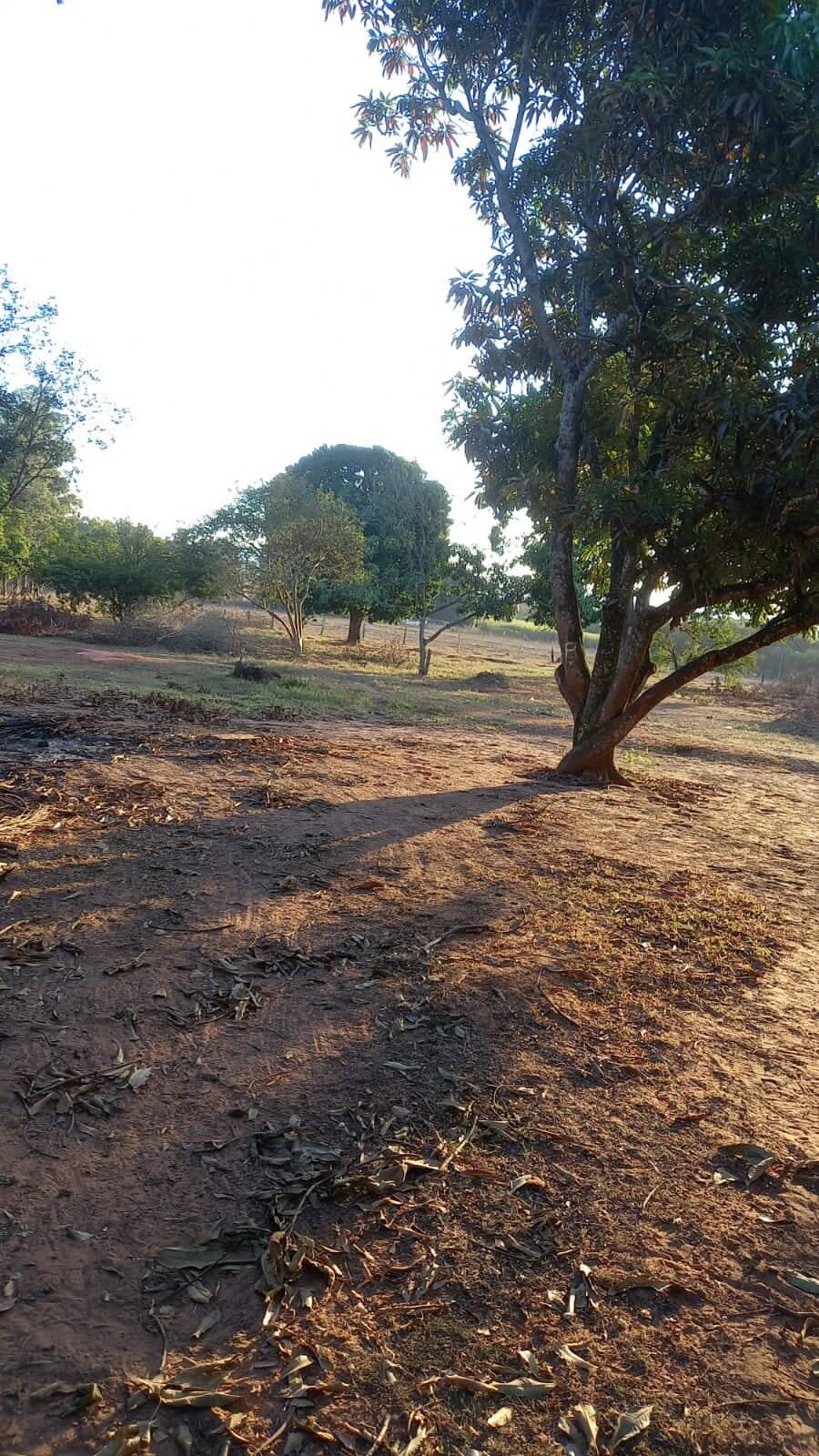 #313 - Sítio para Venda em Mococa - SP